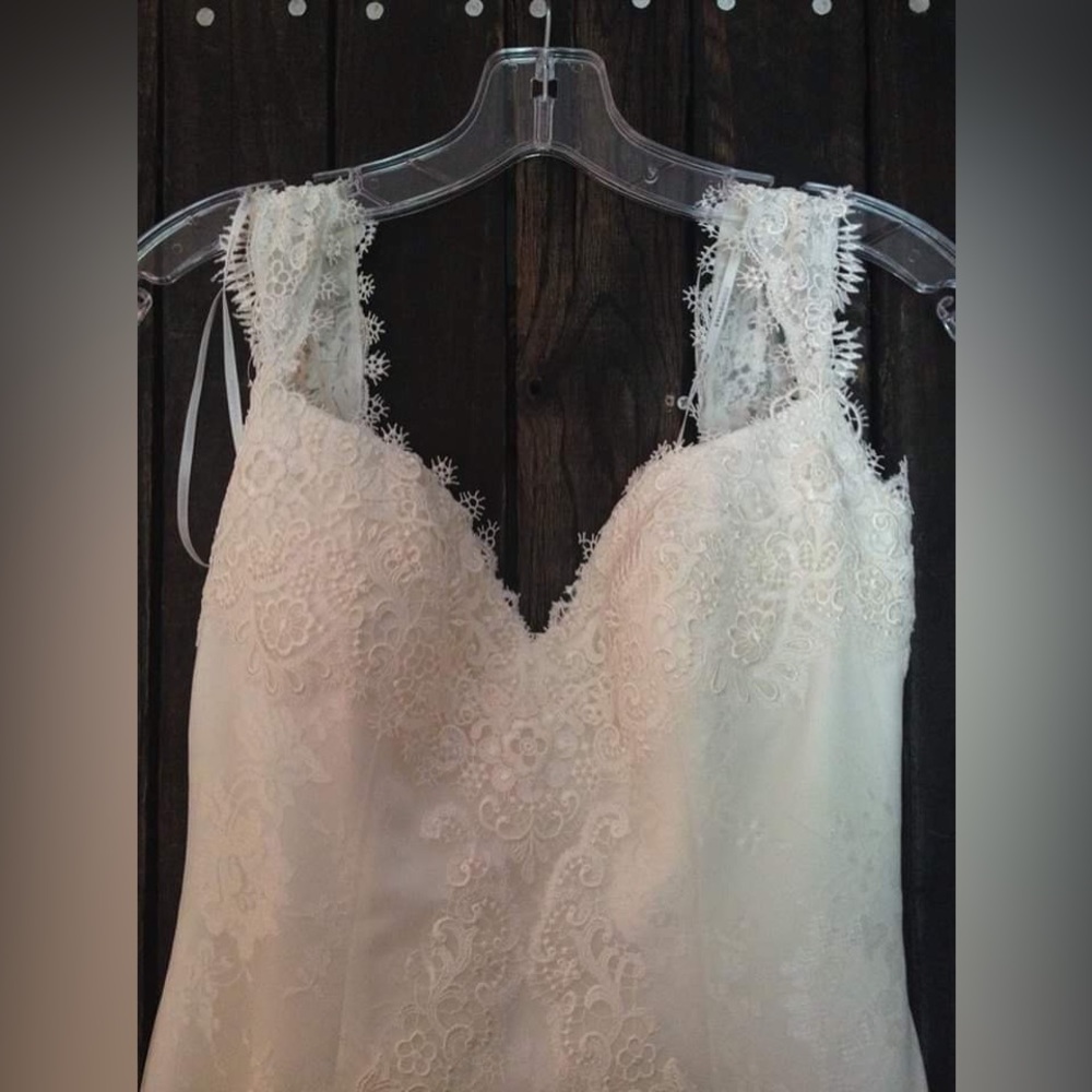 Pronovias Barcelona Beautiful Lace Wedding Gown Never Worn Size 8 - Picture 2 of 7